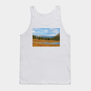 James Peak Wilderness from Guanella Pass Tank Top